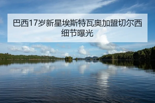 ba-xi-sui-xin-xing-ai-si-te-wa-ao-jia-meng-qie-er-xi-xi-jie-bao-guang-2-735.jpg
