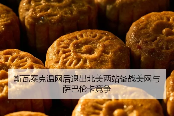 si-wa-tai-ke-wen-wang-hou-tui-chu-bei-mei-liang-zhan-bei-zhan-mei-wang-yu-sa-ba-lun-ka-jing-zheng-1-216.jpg